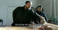 Ai Weiwei: Never Sorry